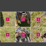 Creare un mosaico per Instagram: caricamento sequenziale delle tessere 1/2 Creare un mosaico per Instagram: caricamento sequenziale delle tessere 1/2
