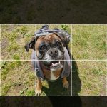 Creare un mosaico per Instagram: selezione ed editing della foto Creare un mosaico per Instagram: ruota, ridimensiona, taglia